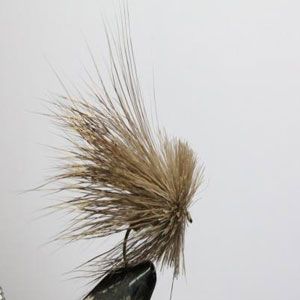 Streaking caddis 3